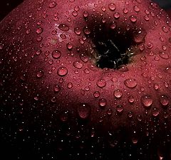 photo "Drops"