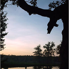 фото "Evening At The Pond"