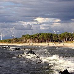 photo "Before the storm ..."