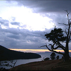 фото "Sleepy  Hollow Bay"