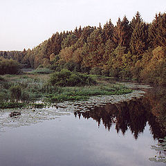 фото "Утро раннее"