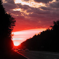 photo "Morning on road in Petersburg"