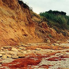 photo "Coastal Palette"