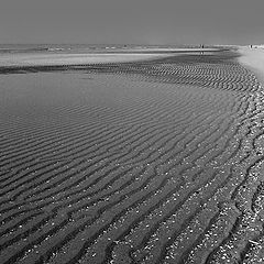 photo "Cacela beach in B&W"