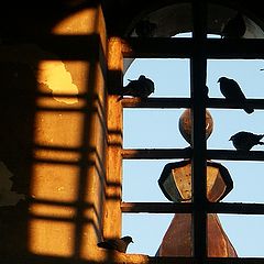 photo "The deserted temple. Pigeons"