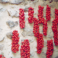 photo "wall art by tomatoes"