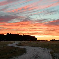 photo "Morning road"