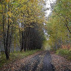 фото "Грустная..."