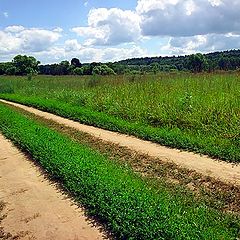 photo "Summer etude. Road through a meadow"