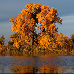 фото "Радуга. II"