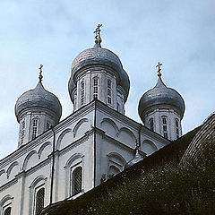 фото "Устремлённые в небо №4"