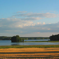 фото "Чрезполосица"