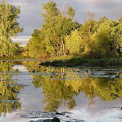 photo "Autumn reflections"