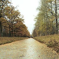 фото "Осень во льду"