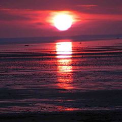 фото "SUNSET"