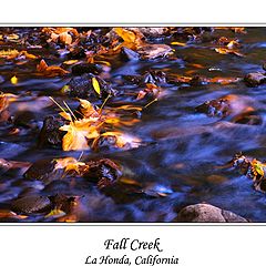 photo "Fall Creek"