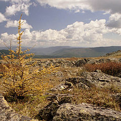 photo "Autumnal from Seminski mountan pass. (Altay)."