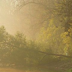 photo "Misty Morning"