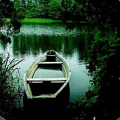photo "Forgotten ....."