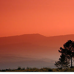 photo "Red twilight"