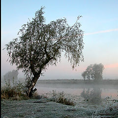 фото "проповедь"