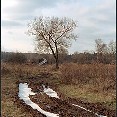 photo "Road / Losiniy Ostrov"