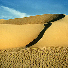 photo "Dunes"