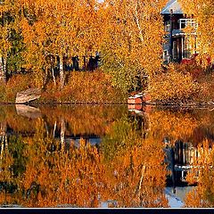 photo "golden autumn"