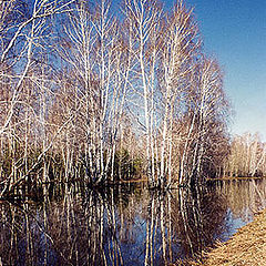 фото "Зеркало"