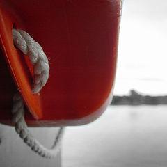 фото "life-buoy"