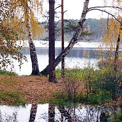 photo "Untitled photo"