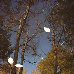 photo "October Sky, or Reflection No.5"