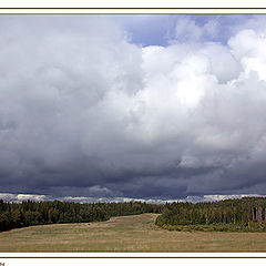 photo "Autumnal field"