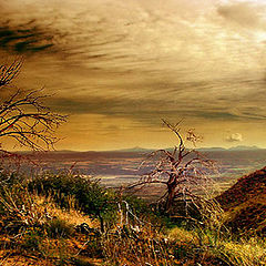 photo "Mesa Verde"