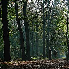 photo "In the autumn park"