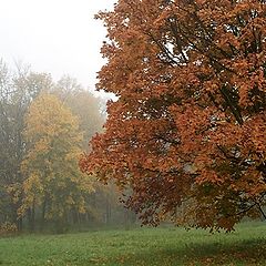 фото "Осень"