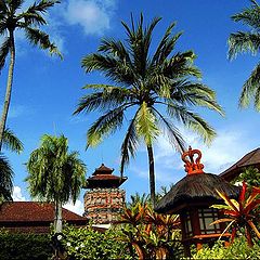 photo "Paradise of palms&Temples"