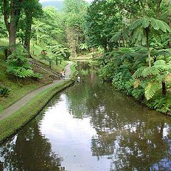 photo "Lake - Furnas Garden"