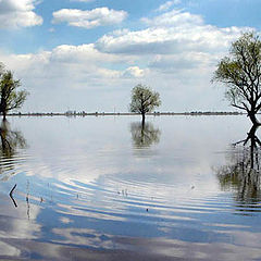 фото "Зеркало"