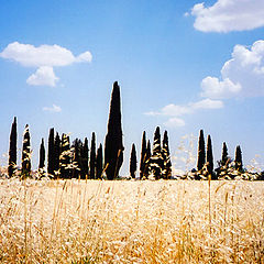 фото "Cyprus Landscape"