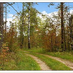 photo "Road"