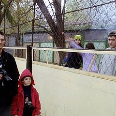 photo "Free photographers Shcegolev: father and the son"