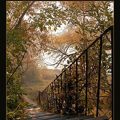 фото "old iron stairway"