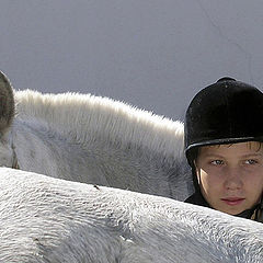 photo "Horse Raid"