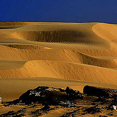 photo "Sand Dunes #15"