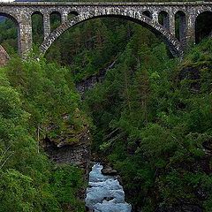 фото "Bridge in the wildernes."