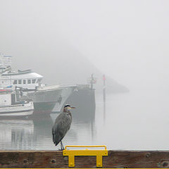 photo "Stuck in port"