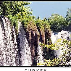 фото "Turkey"