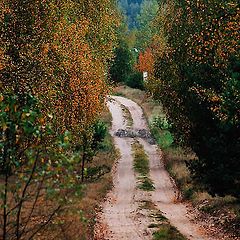 фото "Autumn Road"