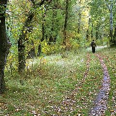 photo "Autumn etude"